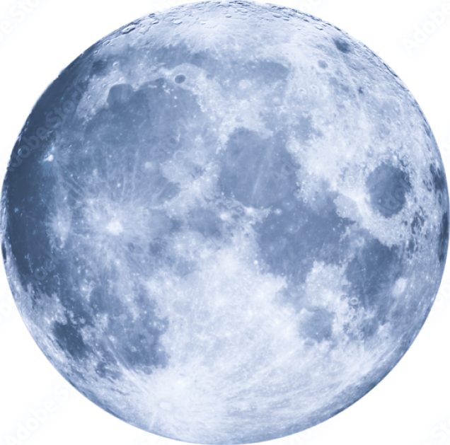 Fertility &  Obstetrics